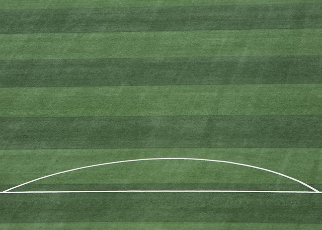 在上两场比 在上两场比