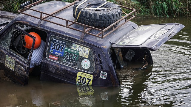 勇士队内的 勇士队内的
