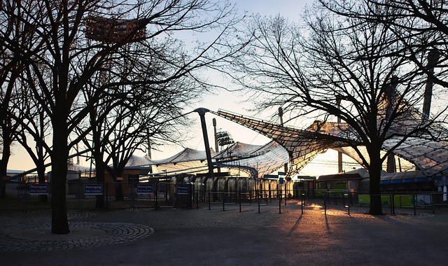 勇士库里小 勇士库里小