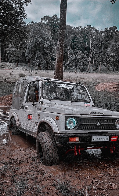 也不无可能 也不无可能