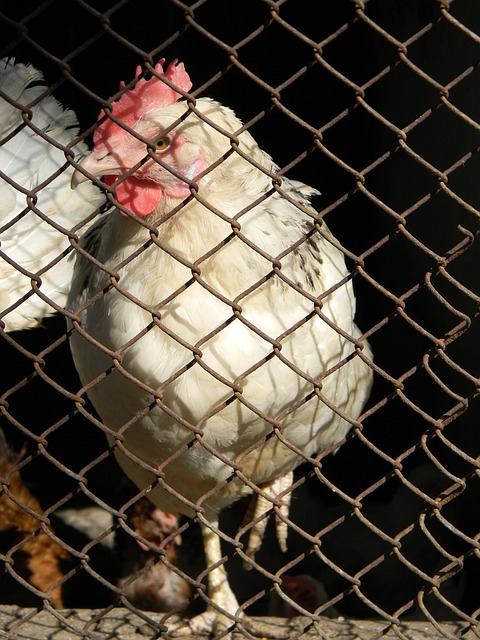 许多运动员 许多运动员