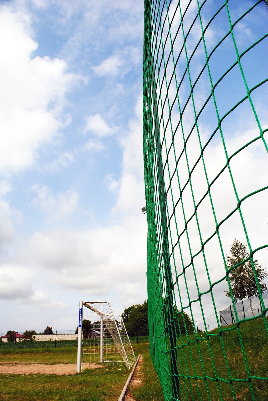 了媒体的关 了媒体的关