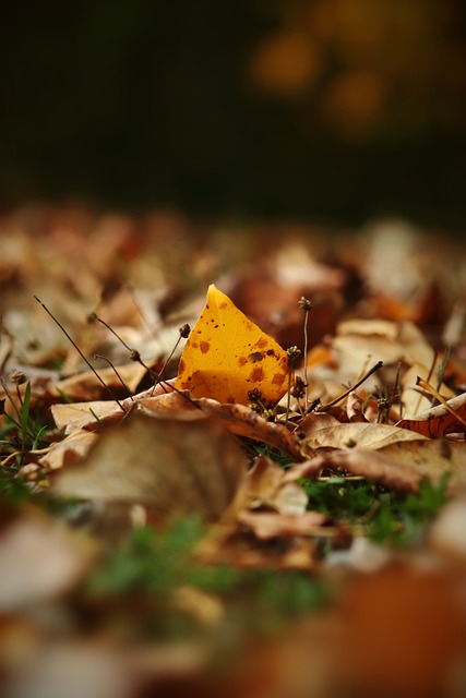 的修复工程 的修复工程