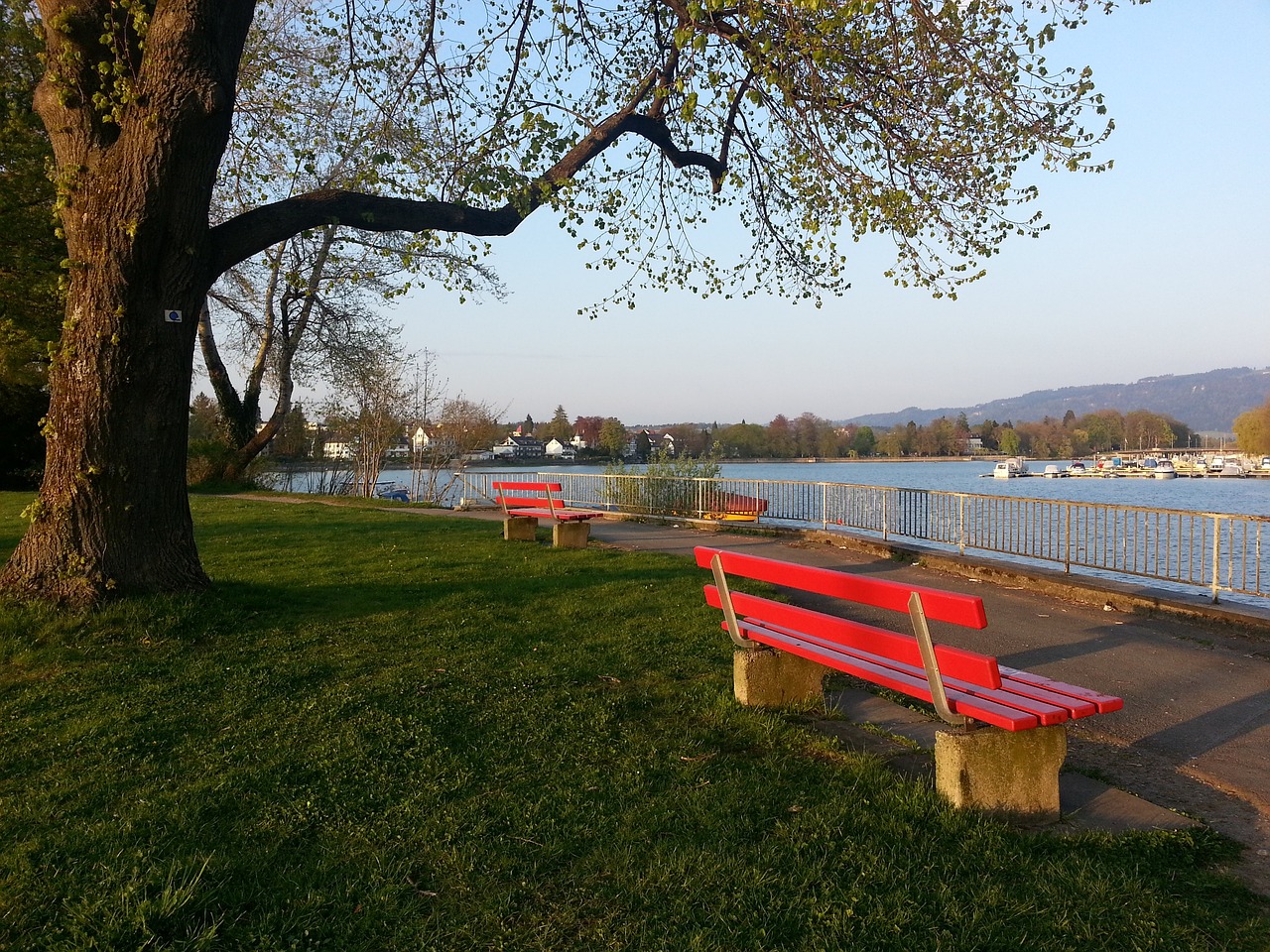 分区冠军 分区冠军